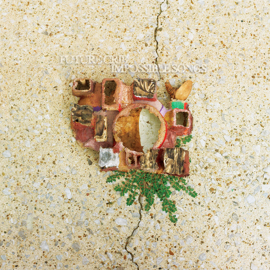 NEW - Impossible Songs - 12" Vinyl LP